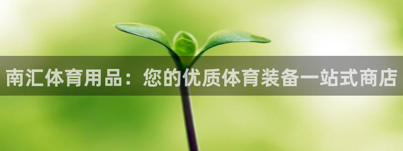 欧陆娱乐注册链接安全吗知乎：南汇体育用品：您的优质体