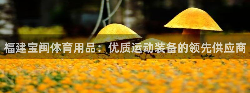 欧陆娱乐图片：福建宝闽体育用品：优质运动装备的领先供