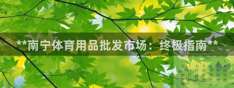 欧陆娱乐是那个旗下的品牌公司：**南宁体育用品批发市