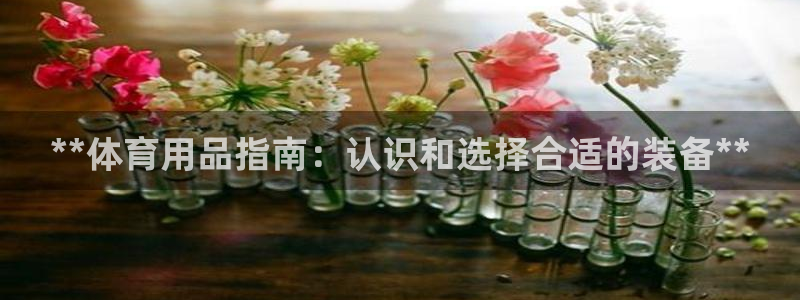 欧陆娱乐访问：**体育用品指南：认识和选择合适的装备