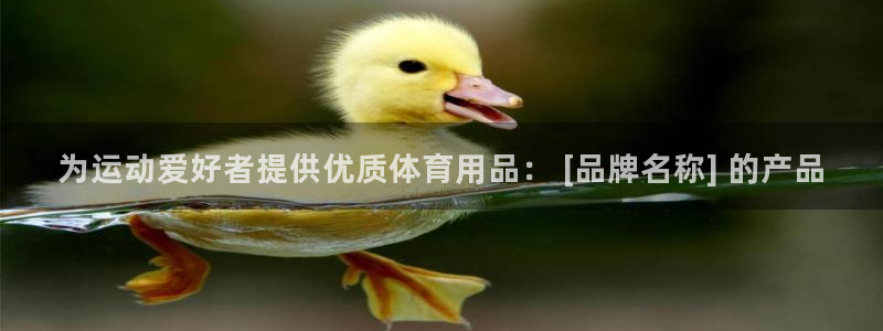 欧陆公司在哪里：为运动爱好者提供优质体育用品： [品