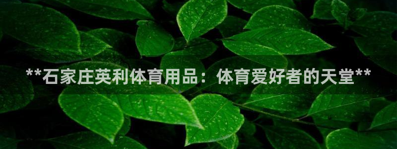 欧陆娱乐计划app官方正版安装下载苹果：**石家庄英