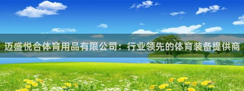 欧陆娱乐会员：迈盛悦合体育用品有限公司：行业领先的体