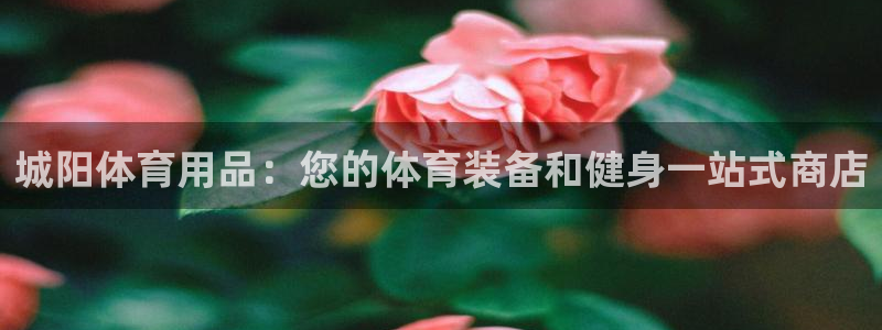 欧陆娱乐微信众：城阳体育用品：您的体育装备和健身一站