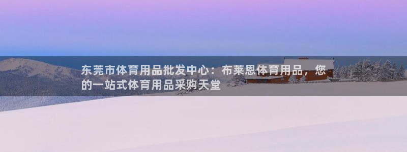 欧陆娱乐百科大全：东莞市体育用品批发中心：布莱恩体育