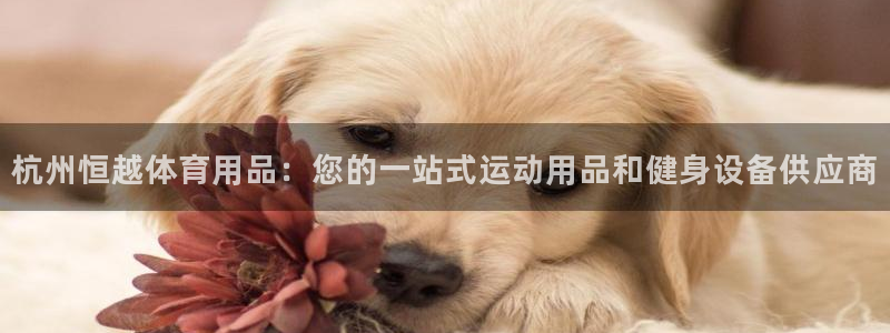 欧陆娱乐稳中：杭州恒越体育用品：您的一站式运动用品和