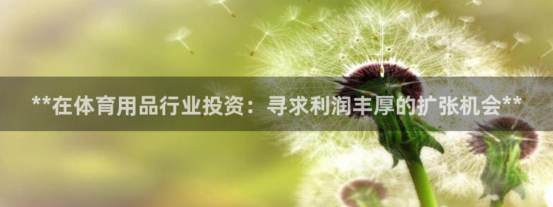 欧陆娱乐平台登陆地址在哪看：**在体育用品行业投资：