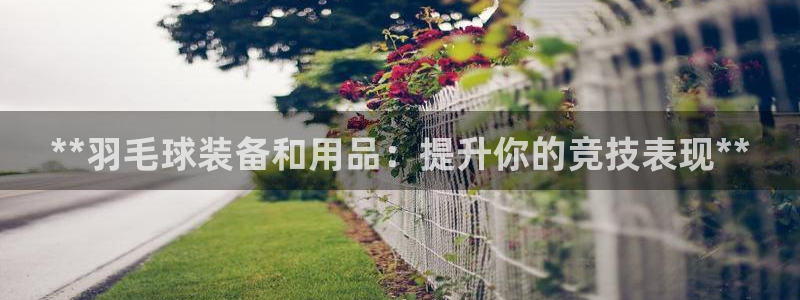 欧陆娱乐挂机项目有哪些：**羽毛球装备和用品：提升你
