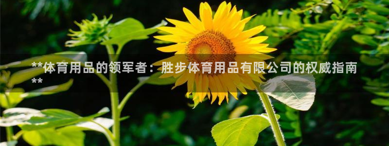 欧陆娱乐安全吗：**体育用品的领军者：胜步体育用品有