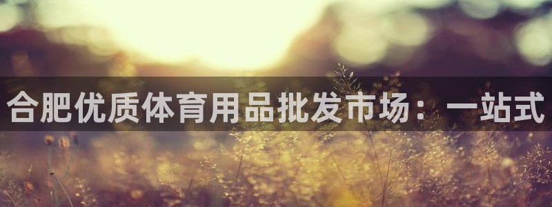 欧陆娱乐客服电话号码：合肥优质体育用品批发市场：一站