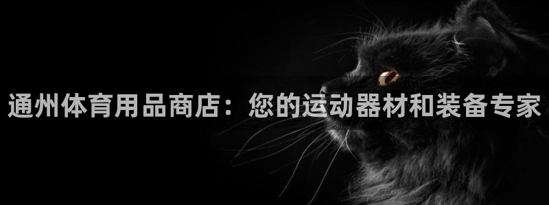 欧陆娱乐挂机怎么玩：通州体育用品商店：您的运动器材和
