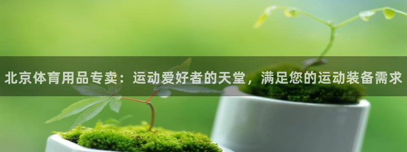 欧陆娱乐app打不开怎么回事儿：北京体育用品专卖：运