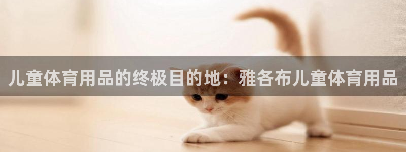 欧陆娱乐代理 贴吧官网：儿童体育用品的终极目的地：雅