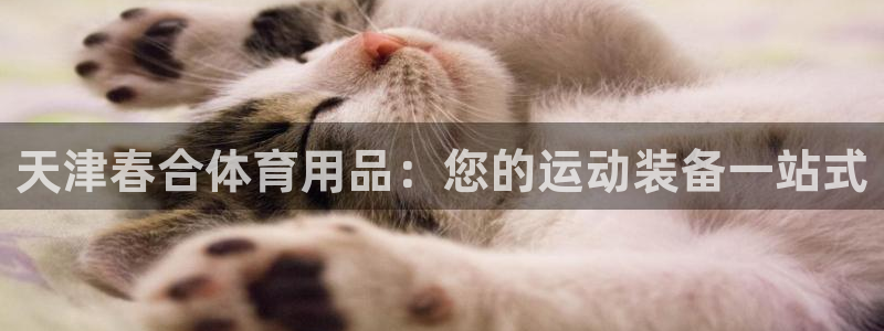 欧陆娱乐脚本下载：天津春合体育用品：您的运动装备一站