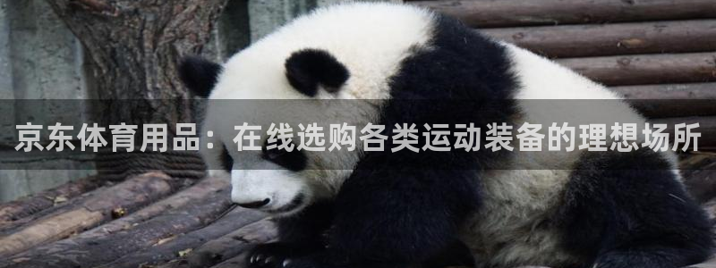 欧陆娱乐平台登陆地址是什么样的：京东体育用品：在线选