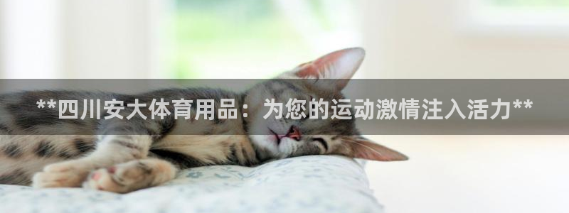 欧陆娱乐注册代理多少钱一年：**四川安大体育用品：为