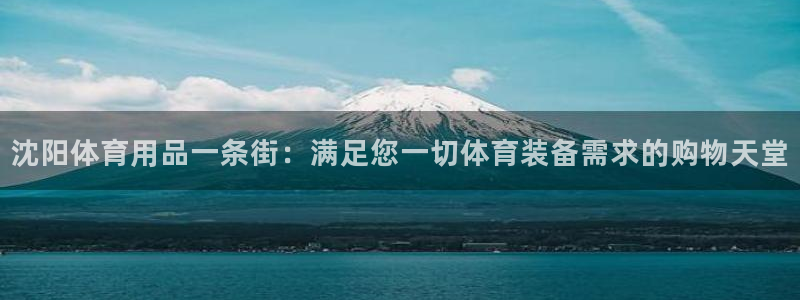 欧陆娱乐怎么注册：沈阳体育用品一条街：满足您一切体育
