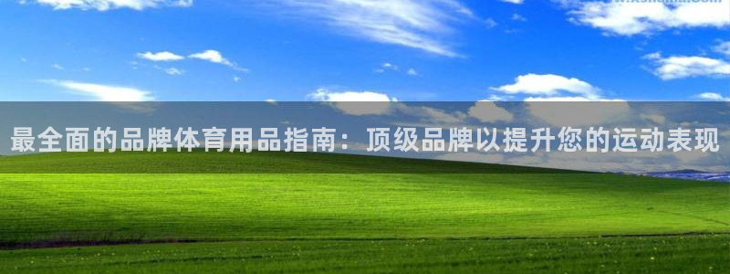 欧陆娱乐登录测速软件：最全面的品牌体育用品指南：顶级