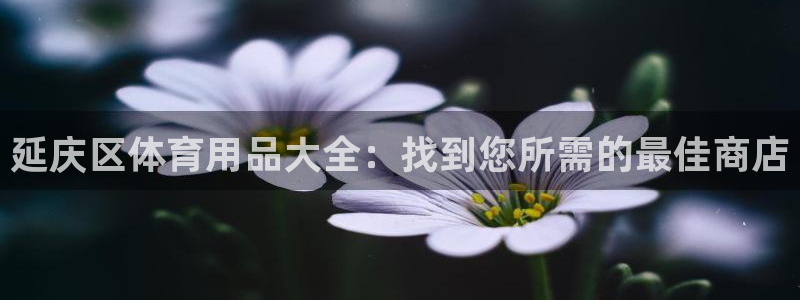 欧陆娱乐登录官网：延庆区体育用品大全：找到您所需的最