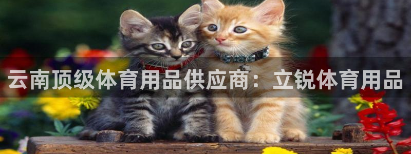 欧陆娱乐登录官网下载：云南顶级体育用品供应商：立锐体