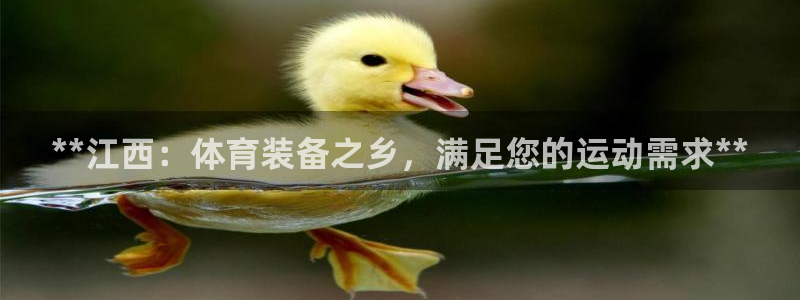 欧陆平台：**江西：体育装备之乡，满足您的运动需求*