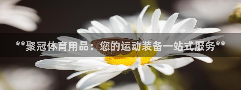 欧陆娱乐登录测速：**聚冠体育用品：您的运动装备一站