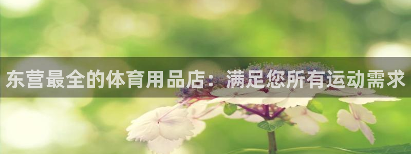 欧陆娱乐是正规平台吗安全吗知乎：东营最全的体育用品店