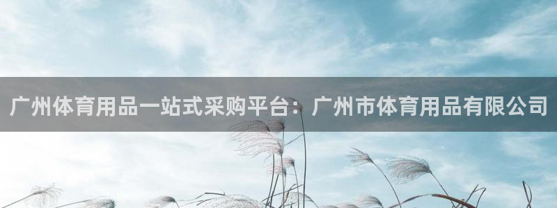 欧陆娱乐安全?：广州体育用品一站式采购平台：广州市体