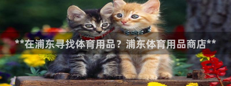 欧陆娱乐官网网址大全：**在浦东寻找体育用品？浦东体