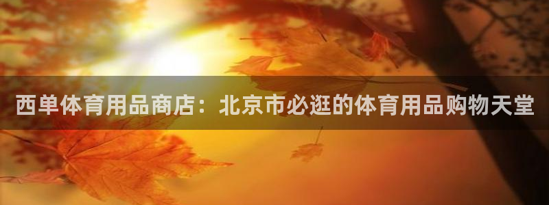 欧陆娱乐百科：西单体育用品商店：北京市必逛的体育用品