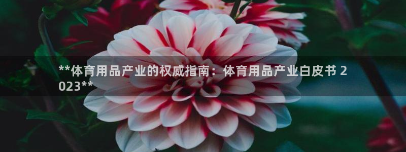 欧陆娱乐群里怎么进：**体育用品产业的权威指南：体育