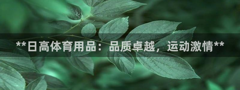 欧陆娱乐游戏特色：**日高体育用品：品质卓越，运动激