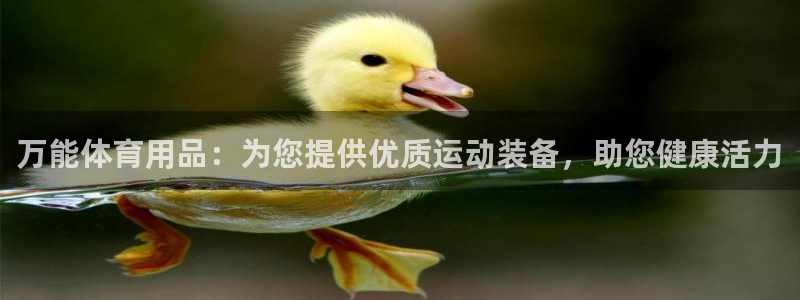 欧陆娱乐平台官网下载：万能体育用品：为您提供优质运动装备，助