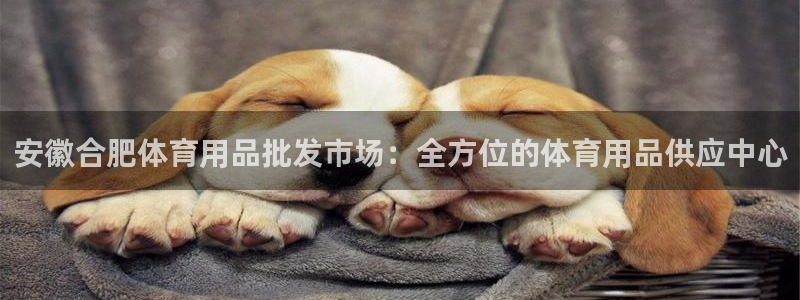 欧陆娱乐计划预测软件下载：安徽合肥体育用品批发市场：