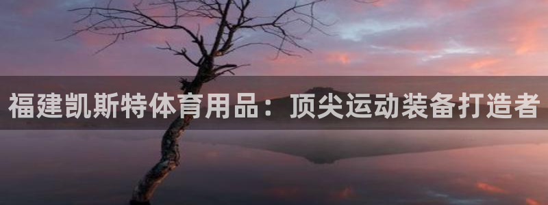 欧陆娱乐是那个旗下的品牌：福建凯斯特体育用品：顶尖运