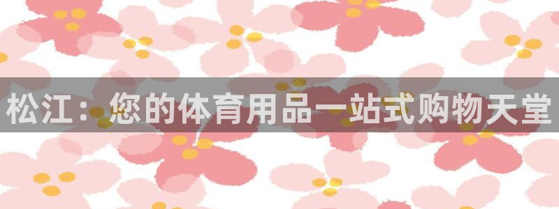欧陆娱乐登录测速网站：松江：您的体育用品一站式购物天
