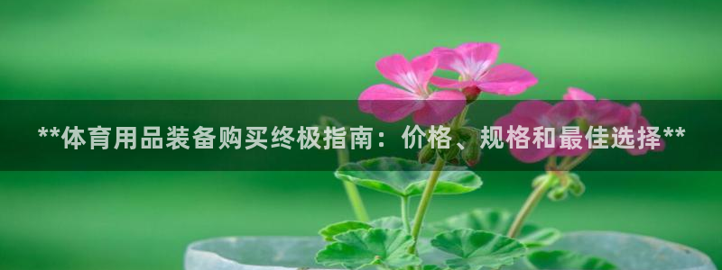 欧陆商城：**体育用品装备购买终极指南：价格、规格和