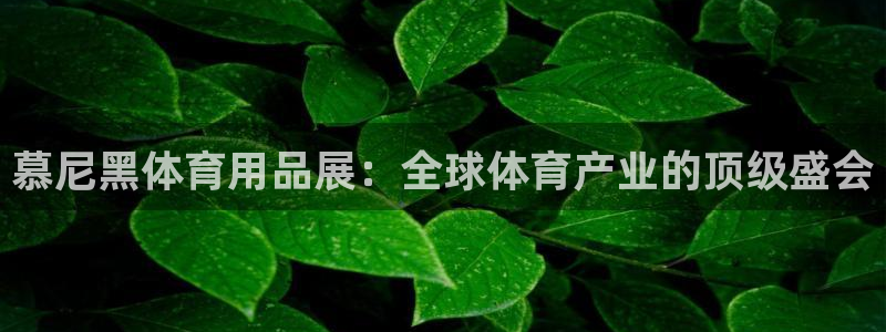 欧陆娱乐息7o777ts=0：慕尼黑体育用品展：全球
