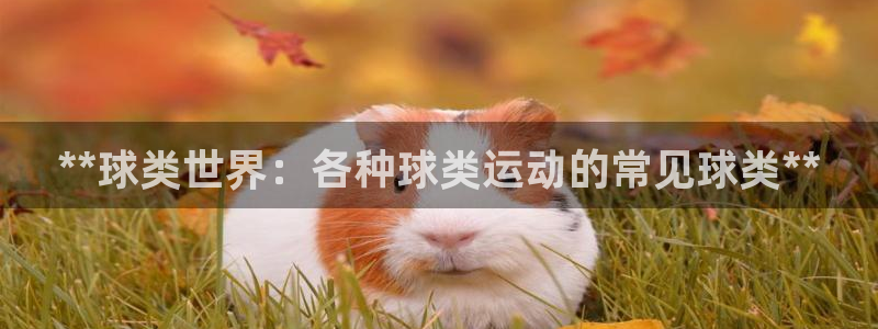 欧陆娱乐代理多少个点位合适：**球类世界：各种球类运