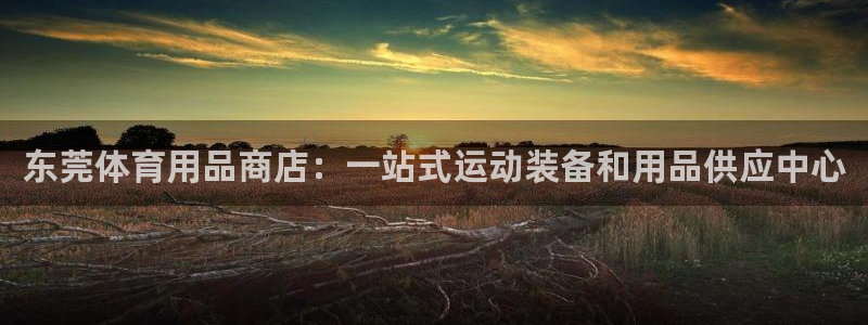 欧陆商城：东莞体育用品商店：一站式运动装备和用品供应