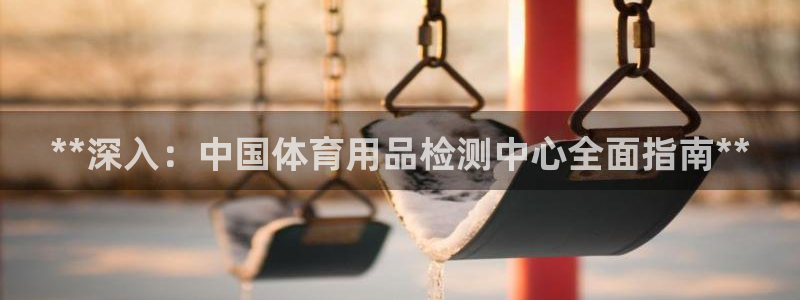 欧陆娱乐挂机项目怎么设置：**深入：中国体育用品检测