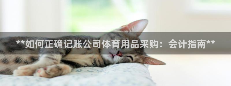 欧陆娱乐客服电话人工服务号码：**如何正确记账公司体