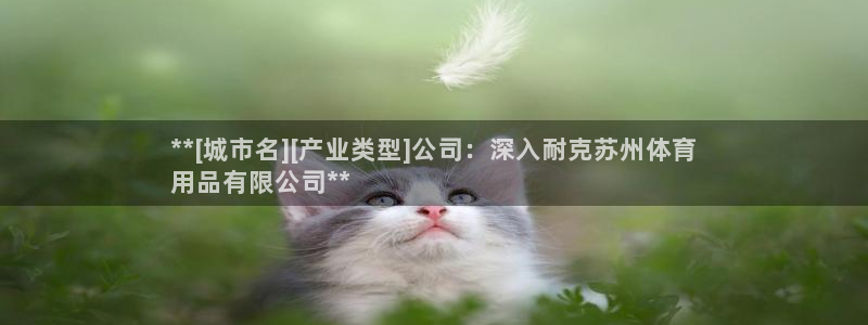 欧陆注册登录入口：**[城市名][产业类型]公司：深