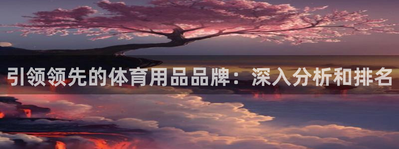 欧陆娱乐平台登陆地址在哪：引领领先的体育用品品牌：深