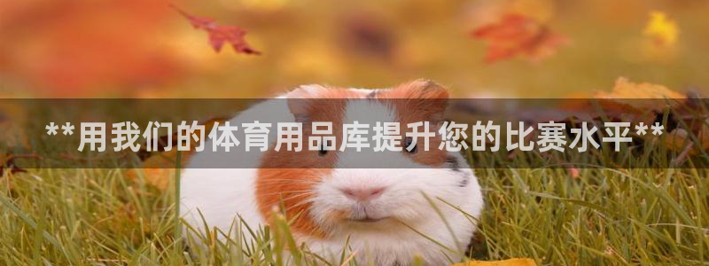 欧陆娱乐平台咋样啊赚钱：**用我们的体育用品库提升您