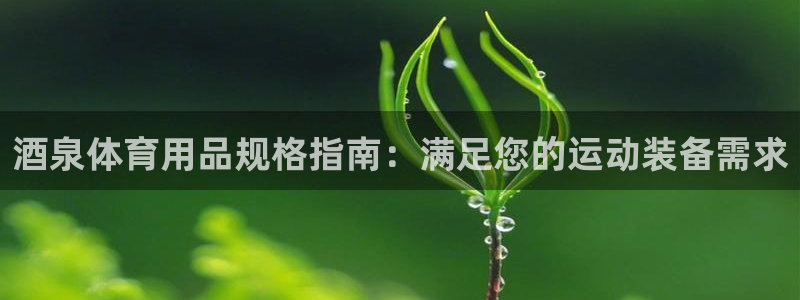 欧陆娱乐代理 贴吧：酒泉体育用品规格指南：满足您的运