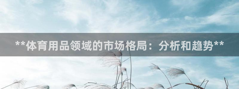 欧陆娱乐平台登陆地址在哪改：**体育用品领域的市场格