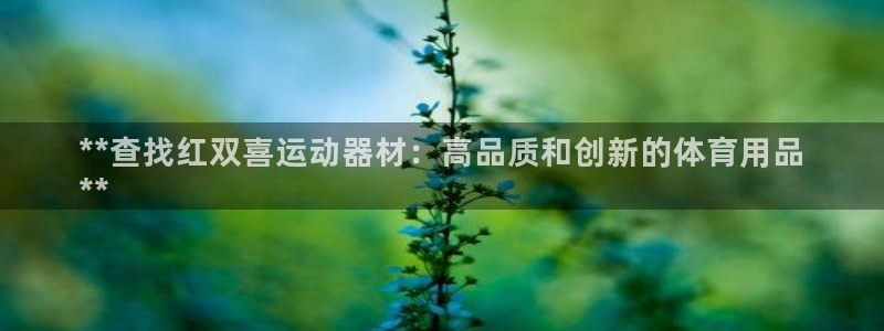 欧陆娱乐简介：**查找红双喜运动器材：高品质和创新的