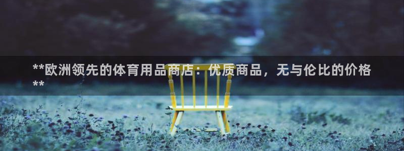 欧陆娱乐计划预测软件有哪些：**欧洲领先的体育用品商
