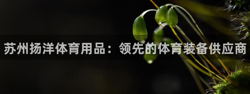 欧陆娱乐不让提现怎么办：苏州扬洋体育用品：领先的体育